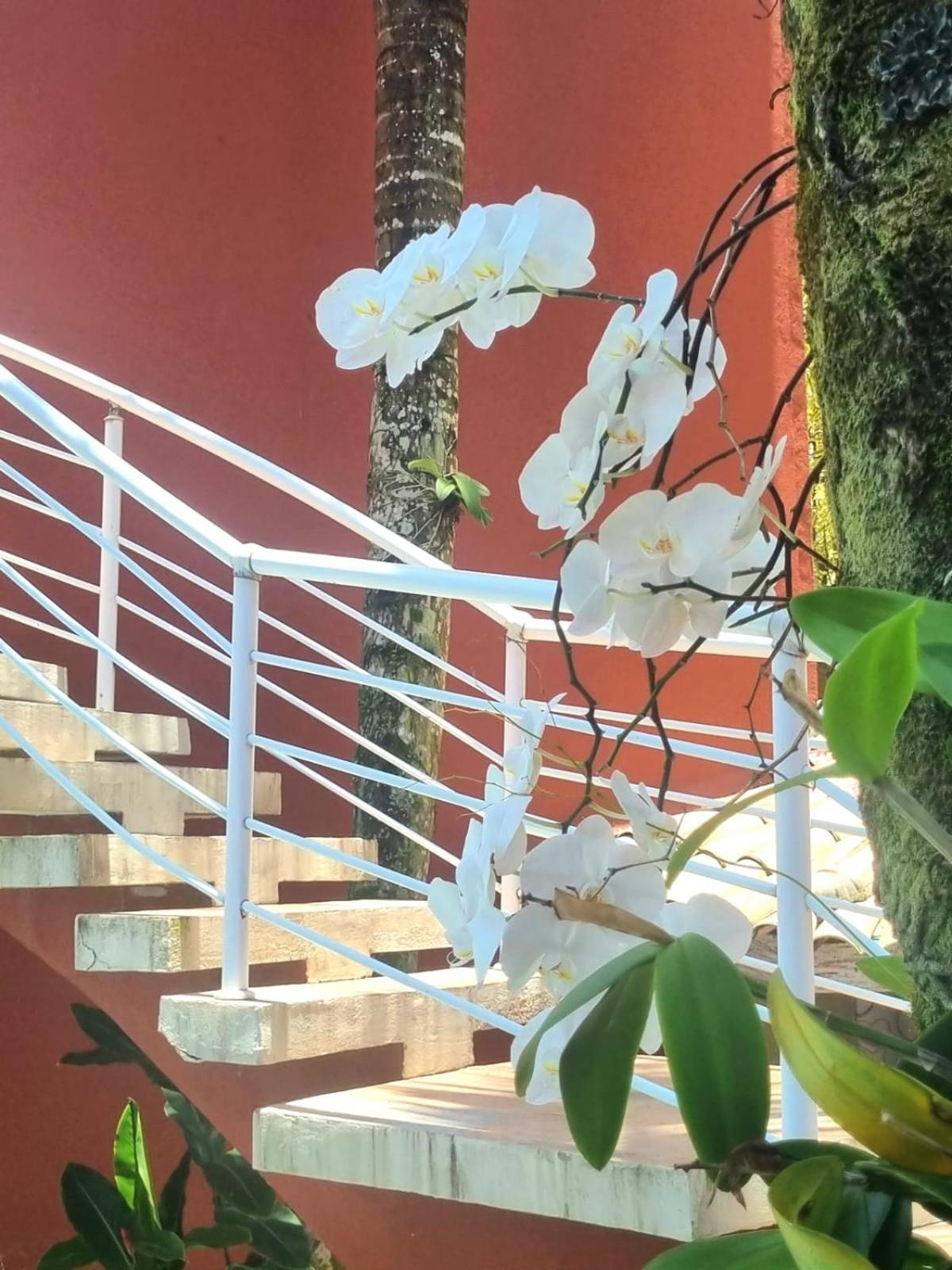 Pousada Vila Jabutis Guarujá Exteriör bild